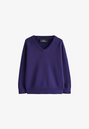Pull violet à manches longues col en V avec poignets et ourlet côtelés, en tissu tricoté, présenté sur fond blanc.