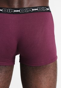 DIM 3 PACK - Bokserit - violet intense/bleu atlantique/noir