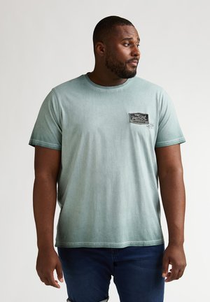 Camiseta de algodón verde claro con cuello redondo, mangas cortas y un parche negro con detalle de logo en el pecho izquierdo.