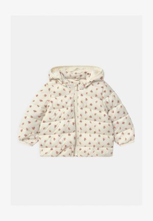 PUFFER HOOD - Zimní bunda - ivory frost