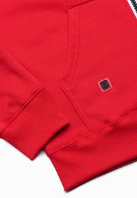 Ombre ZIP-UP  - Sweatjacke - light red