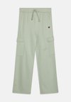 ICONS PANTS - Calças - light green