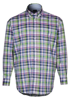 Kariertes Hemd mit Knopfleiste in den Farben Grün, Lila, Blau und Weiß; aus leichtem Stoff gefertigt, mit langen Ärmeln und spitzem Kragen.