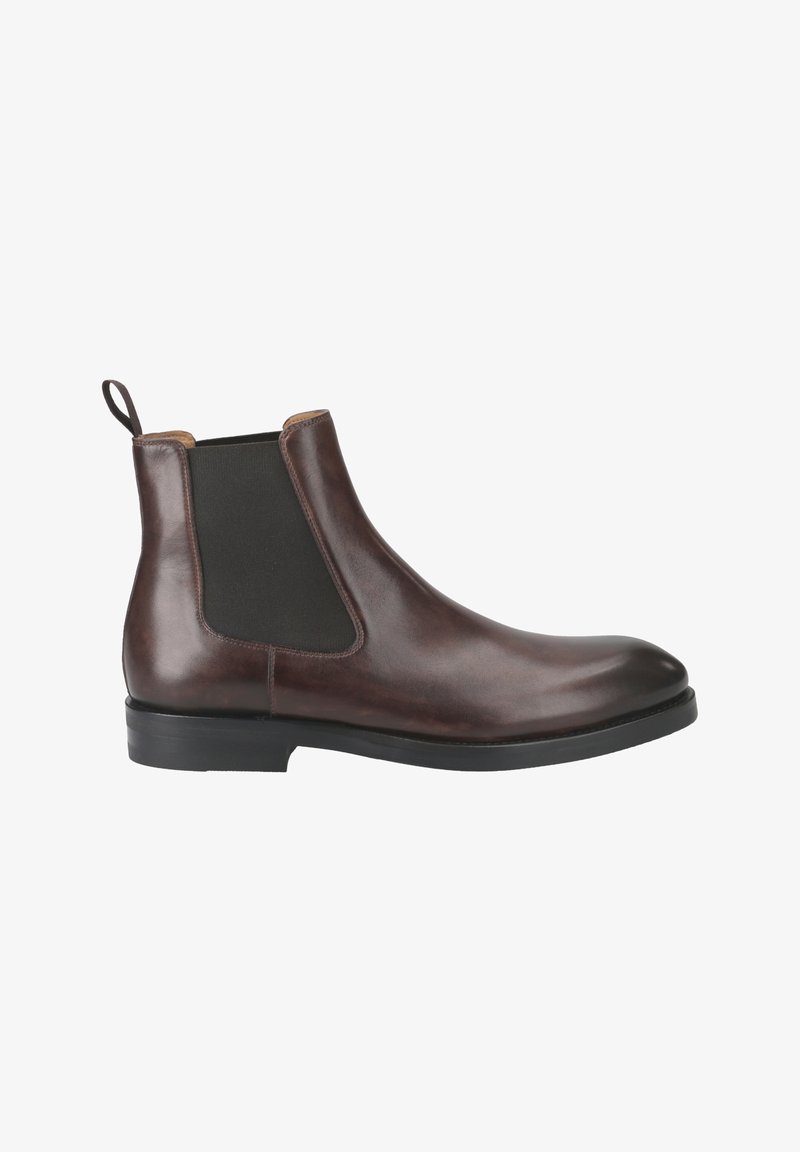 Magnanni BOLTILUX MARRON - Bottines - braun