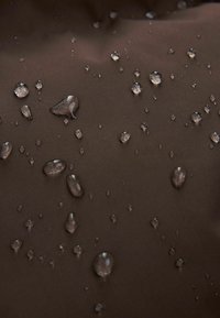 Next SHOWER RESISTANT PADDED - Talvemantel - chocolate brown
