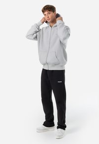 Pegador COLNE LOGO JACKET - Sweatjakke - washed clear grey