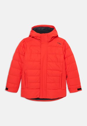 KID JACKET HOOD UNISEX - Snieglenčių striukė - tango