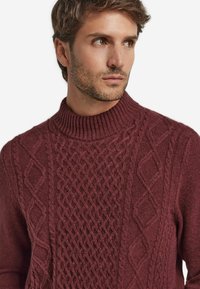 Strickpullover in Burgunderrot mit hohem Rippkragen, ausgestattet mit einem strukturierten Zopfmuster und einem Diamantdesign auf der Vorderseite.