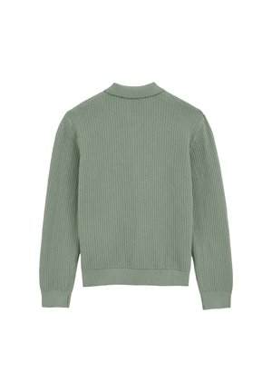 Zeleni pleteni džemper s dugim rukavima s teksturiranim uzorkom, rebrastim manšetama i rubom, prikazan s leđa na bijeloj pozadini.