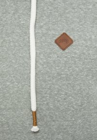 Jack & Jones JORPAUL TONS NOOS - Kapuzenpullover - hellgrün