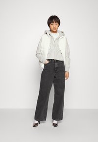 Dr.Denim Petite ECHO - Calças de ganga de corte relaxado - retro black