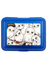 Scatola di stoccaggio in plastica blu con un design di gufi in stile cartoon con occhi gialli, alcuni dei quali tengono lettere e una scopa, su uno sfondo bianco.