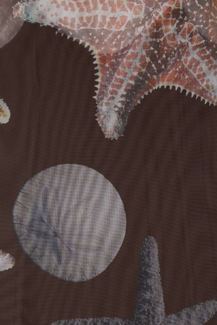 Tkanina z motywami gwiazd mórz i okrągłych form żyjących w morzu w ziemistych odcieniach, z teksturowaną powierzchnią i szczegółowymi wzorami na ciemnym tle.