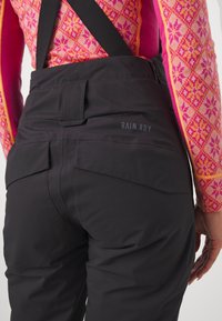 Adidas Terrex XPERIOR TWO-LAYER INSULATED BIB - Sínadrág - black   white