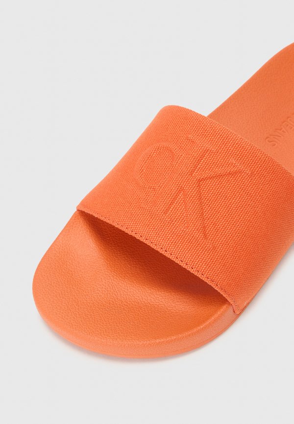 Pool slides - tigerlily3