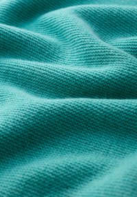 Seasalt Cornwall FRUITY  - Strickpullover - teal seashore
