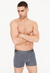 Grau Boxerbriefs aus weichem Stoff mit einem dunklen Bund, der ein geprägtes Logo trägt; enganliegendes Design mit einer vorderen Taschenansicht.