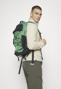 The North Face GLACIER 1/4 ZIP - Fleecepullover - gravel