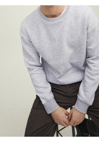 Felpa in cotone grigio chiaro con collo a giroclassico, polsini a costine e una texture morbida. Il modello è seduto su uno sgabello con pantaloni scuri.