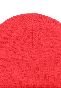 ZIGZAG RIZZO - Muts - 4226 teaberry