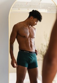 Grüne Boxershorts mit einem schwarzen Bund, auf einem oberkörperfreien männlichen Modell, das in einem sanft beleuchteten Raum steht. Darauf steht der Text "determine p.to".