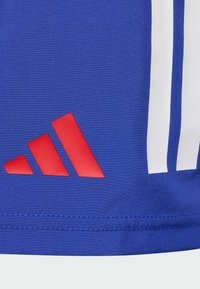 Modrá tkanina s červeným logem Adidas a bílými svislými pruhy na detailu sportovního oblečení.