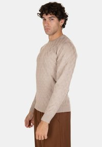 Maglione beige chiaro con un motivo a diamond testurizzato, scollo a barca e maniche lunghe. Indossato con pantaloni marroni, esposto su uno sfondo bianco.