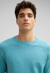 Hellblauer Pullover aus weichem Strickstoff, mit Rundhalsausschnitt und Raglanärmeln, einer glatten Textur und subtilen Stickdetails.