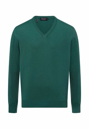 Jumper - schilf