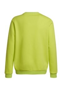 adidas Performance FUSSBALL TEAMSPORT ENTR - Felpa - gruen