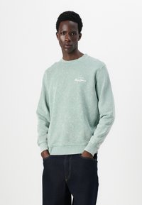 Sudadera verde clara hecha de un material suave, con cuello redondo y puños acanalados. Pequeño logo blanco en el pecho, corte holgado.