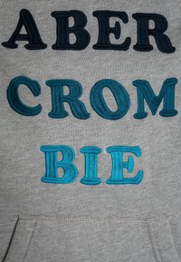Abercrombie & Fitch Hættetrøje - light grey