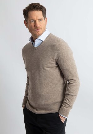 STEPPIN OUT V-NECK  - Trui - bruin beige