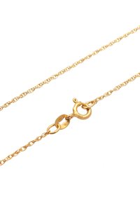Collana in argento placcato oro con un delicato design a catena link e un moschettone rotondo, con il marchio "925" impresso sul moschettone.