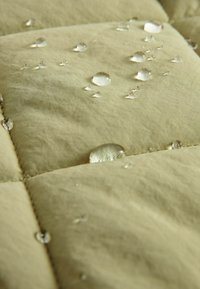 Next SHOWER RESISTANT REGULAR FIT - Vinterfrakke - khaki green