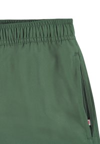 Grønne treningsshorts med elastisk midjebånd, med en glatt tekstur, sidelommer og et lite merke sydd på kanten.