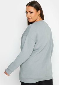 Ljusgrå sweatshirt med avslappnad passform, långa ärmar och ribbade manschetter. Har en rundad halsringning och en mjuk textur.