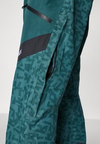 Adidas Terrex PANTS - Sínadrág - aurora ivy/preloved teal