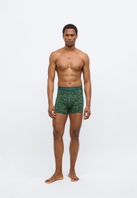 Πράσινα ανδρικά εσώρουχα boxer με σχέδιο φύλλων, με φαρδύ ελαστικό ζωνάρι στη μέση με την επιγραφή "BJÖRN BORG". Κατασκευασμένα από μαλακό, ελαστικό υλικό.