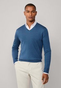 Maglione blu da uomo a collo a V in tessuto a maglia leggera, con maniche lunghe e polsini a coste, abbinato a una camicia con colletto sotto.
