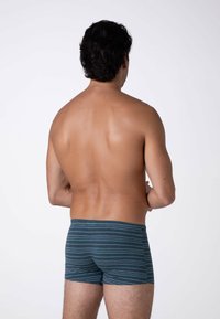 Costumi da bagno da uomo in teal con sottili strisce bianche. Tessuto morbido, design aderente e lunghezza fino a metà coscia. Vista da dietro.