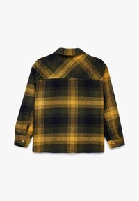 Ternet flannel skjorte i grøn og gul med knapmanchetter og krave. Har en rygsøjle og en afslappet pasform.