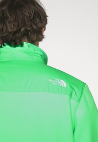 The North Face DENALI - Flisinė striukė - chlorophyll green