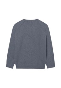 Maglione grigio con scollatura arrotondata, maniche raglan e polsini a costine. Tessuto morbido con una consistenza liscia e senza motivi visibili.