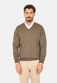 Maglione marrone a collo a V in maglia texturizzata, con maniche lunghe e polsini e orlo a coste, indossato sopra una camicia bianca con colletto.