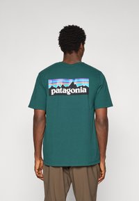 Tricou verde din bumbac, cu un grafic multicolor al muntelui și textul "patagonia" pe spate. Design cu mâneci scurte și gât rotund.