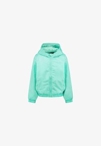 Niet geselecteerd, mint