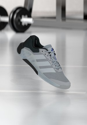 adidas Performance, DROPSET 4 POWER - Trainingsschuh - halo silver-coloured/cloud white/core black
