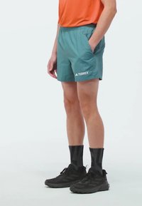 Teal shorts with an elastic waistband and side pockets, featuring white "TERREX" logo. Worn with black athletic shoes and patterned socks.
