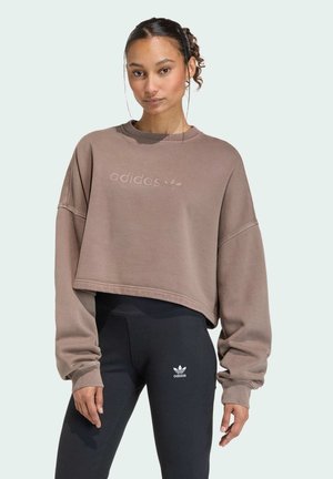 ESSENTIALS LINEAR - Sweatshirt - earth strata